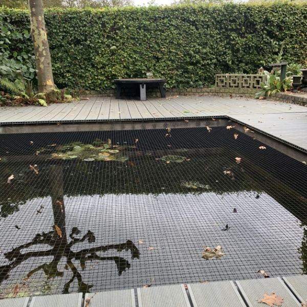 Vijvernet met randlijn maas 29x29mm